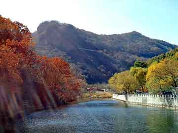 澳门天天免费精准大全，鸽子养殖前景